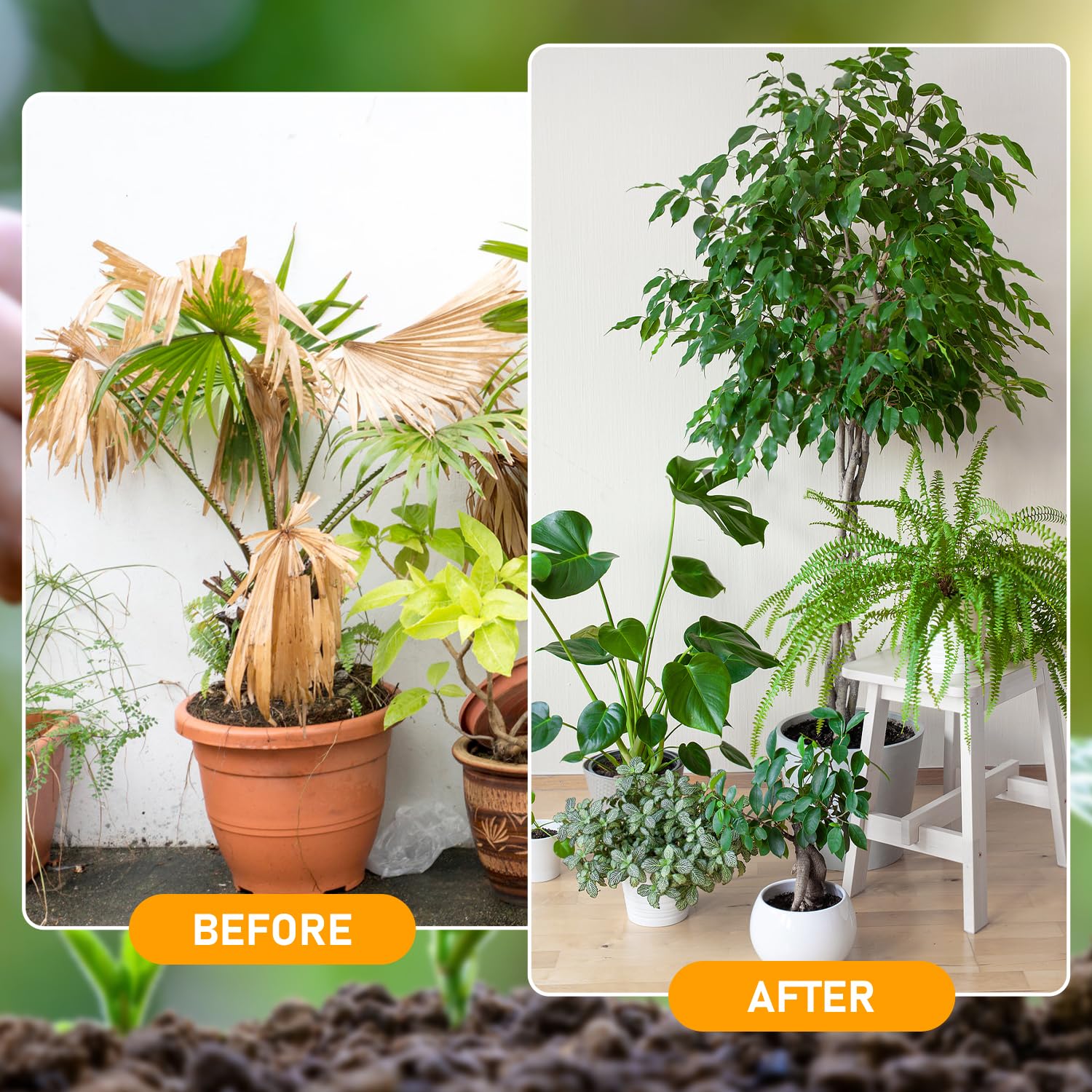 Skiennix Organic Soil Activators - 2Pcs Plant Fertilizers for Healthy Garden Beds | 120G Each