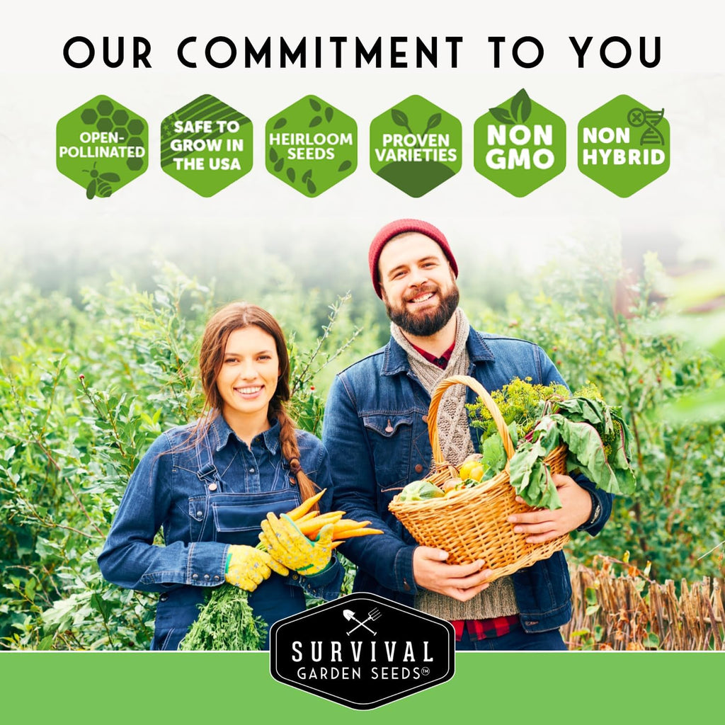 Survival Garden Seeds - Zucchini & Squash Collection | Non-GMO Heirloom Seeds Assortment - Golden, Round, Grey & Black Beauty