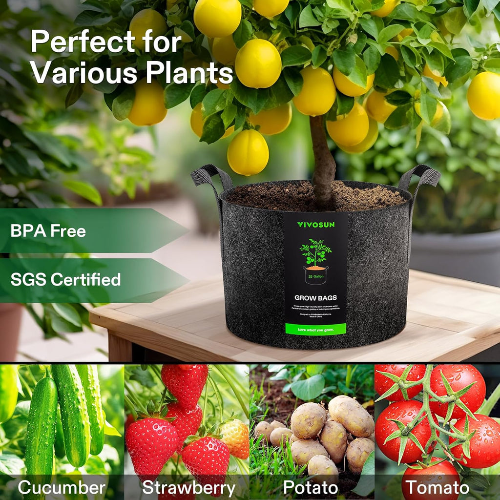 VIVOSUN 25 Gallon Grow Bags - 10-Pack Reinforced Fabric Planter Pots for Gardening | Black