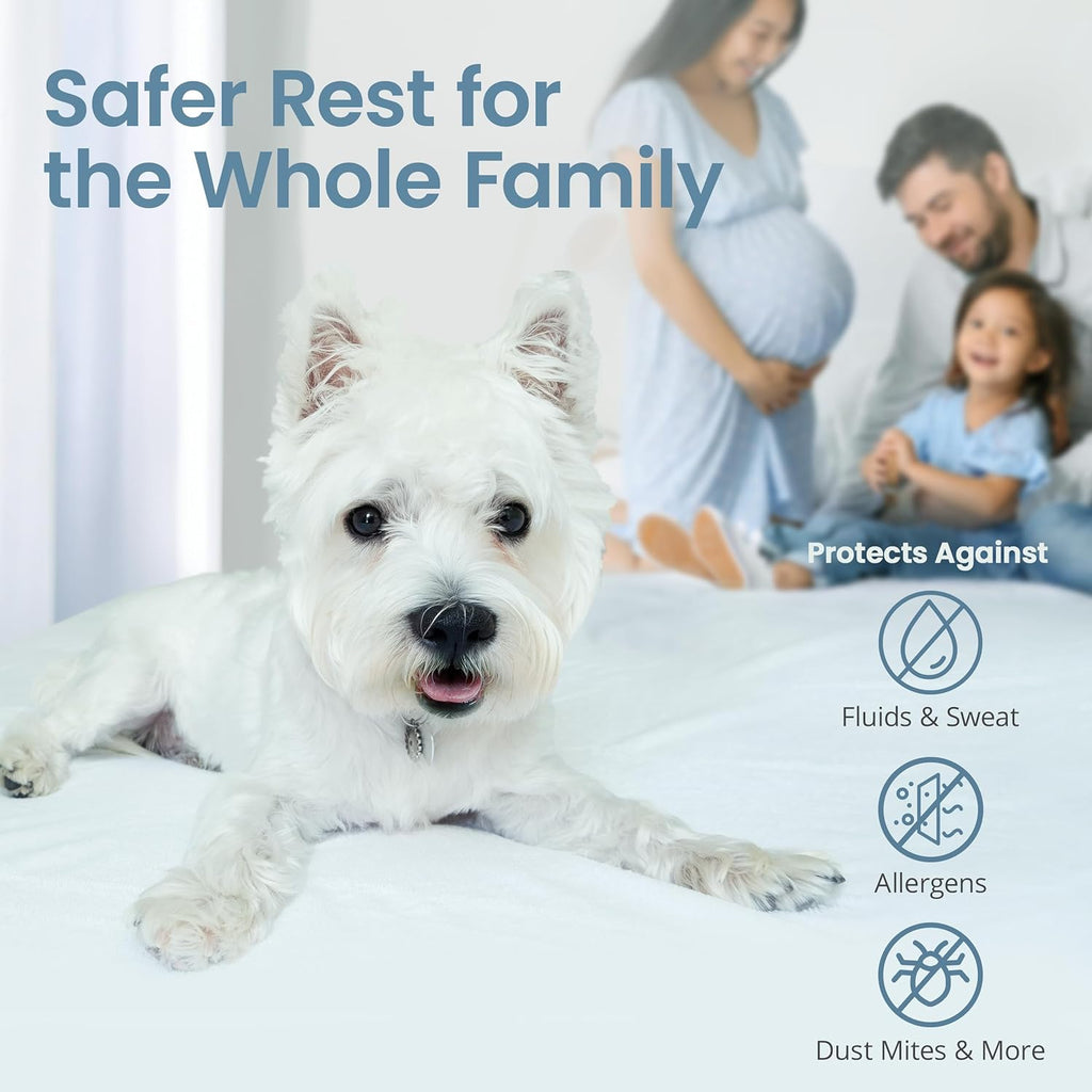 SafeRest Waterproof Mattress Protector - Queen Size Fitted Cover with Stretchable Pockets | Machine Washable Cotton Blend