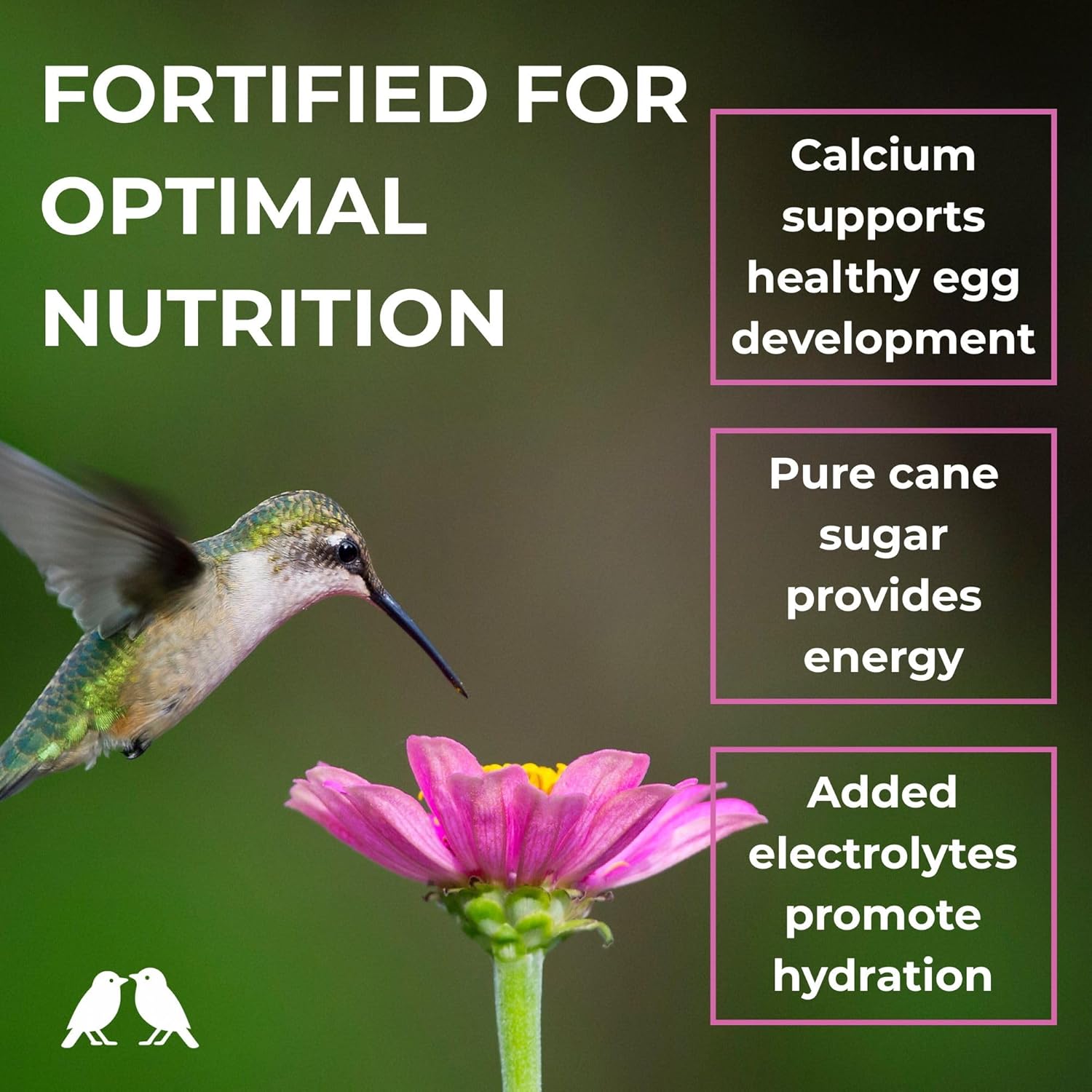 BIRDBROS Hummingbird Nectar Powder - All-Natural, Dye-Free, Easy Mix Feeder Refill | Makes 96 oz