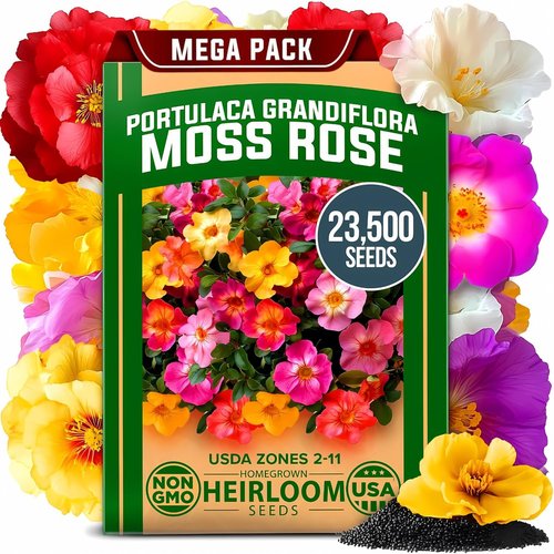 Home Grown Moss Rose Seeds - 23,500+ Heirloom Portulaca Seeds for Low-Maintenance Gardens | Annual Flower Ground Cover