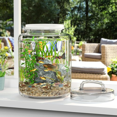 Daitouge 3 Gallon Glass Jar with Lid, Wide Mouth Large Glass Canister with lid, Super Large Cookie Jar for Food Storage, Sugar, Flour, Cookies,Dog Treats