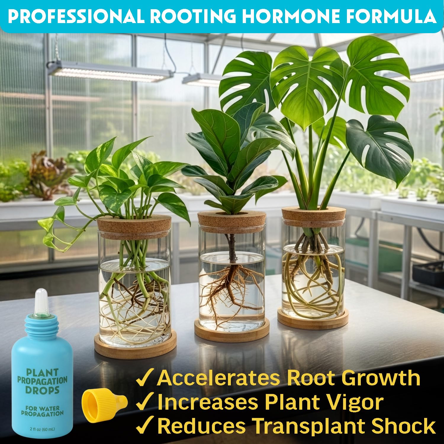 Rooting Drops for Plant Propagation - Faster, Stronger Roots & Less Shock | Supports All Cuttings & Repotting