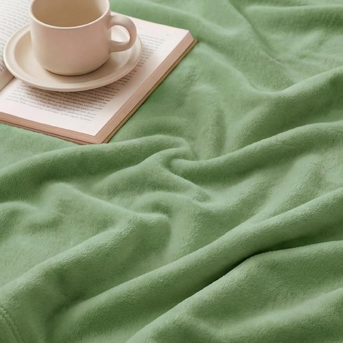 Bedsure GentleSoft Fleece Blanket - Lightweight Plush Cozy Twin Size Green 60x80 Inches for Bed & Travel