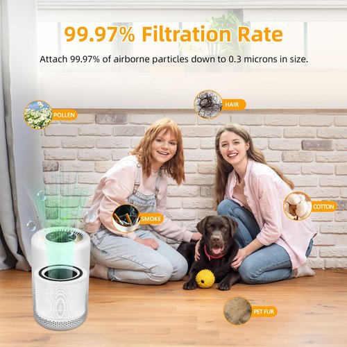 Core 200S Replacement Filter for LEVOIT Core 200S Smart WiFi Air Puri-Fier, 3-in-1 True HEPA Activated Carbon Pre-Filter, Core 200S-RF, Core 200S-P 2 Pack