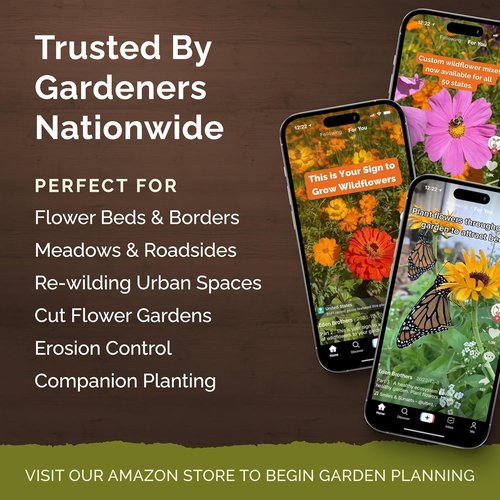 Eden Brothers Wildflower Mixed Seeds - 120,000+ Perennial Seeds | Attract Pollinators, 1/4 lb, Zones 3-10