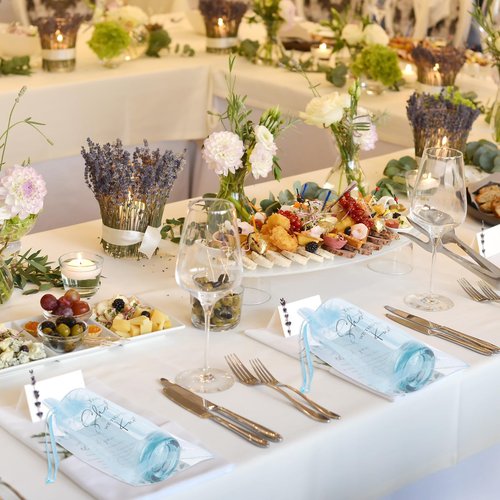 Sliner 100 Set Wedding Favors for Guests Bulk 2oz Acrylic Take a Shot We Tied the Knot Shot Glasses with Thank You Cards Organza Bags for Guest Souvenirs Wedding Newlyweds Bridal Shower Gifts (Blue)