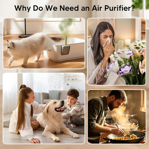 **H14 HEPA Air Purifier by [Brand Name] - Ultra-Quiet 24dB for Allergies & Smoke - Ideal for Rooms Up to 1250 Ft²**