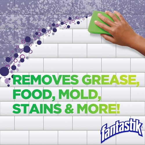 Fantastik All-Purpose Cleaner - Powerful Bleach Formula, 32 Fl Oz for Deep Cleaning