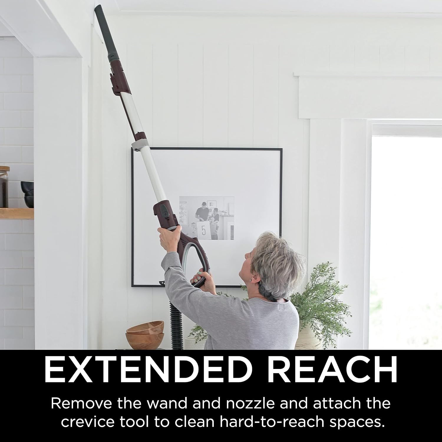 Shark NV752 Rotator Vacuum - Powered Lift-Away TruePet with HEPA Filter & LED Headlights | Bordeaux
