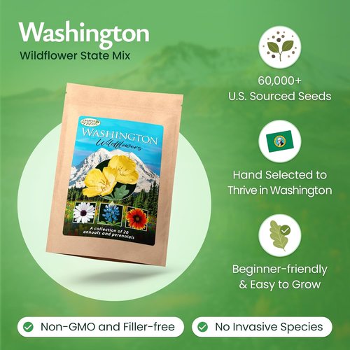 Created By Nature Wildflower Seed Mix - 60,000+ Seeds with 20 Flower Varieties for Vibrant Gardens