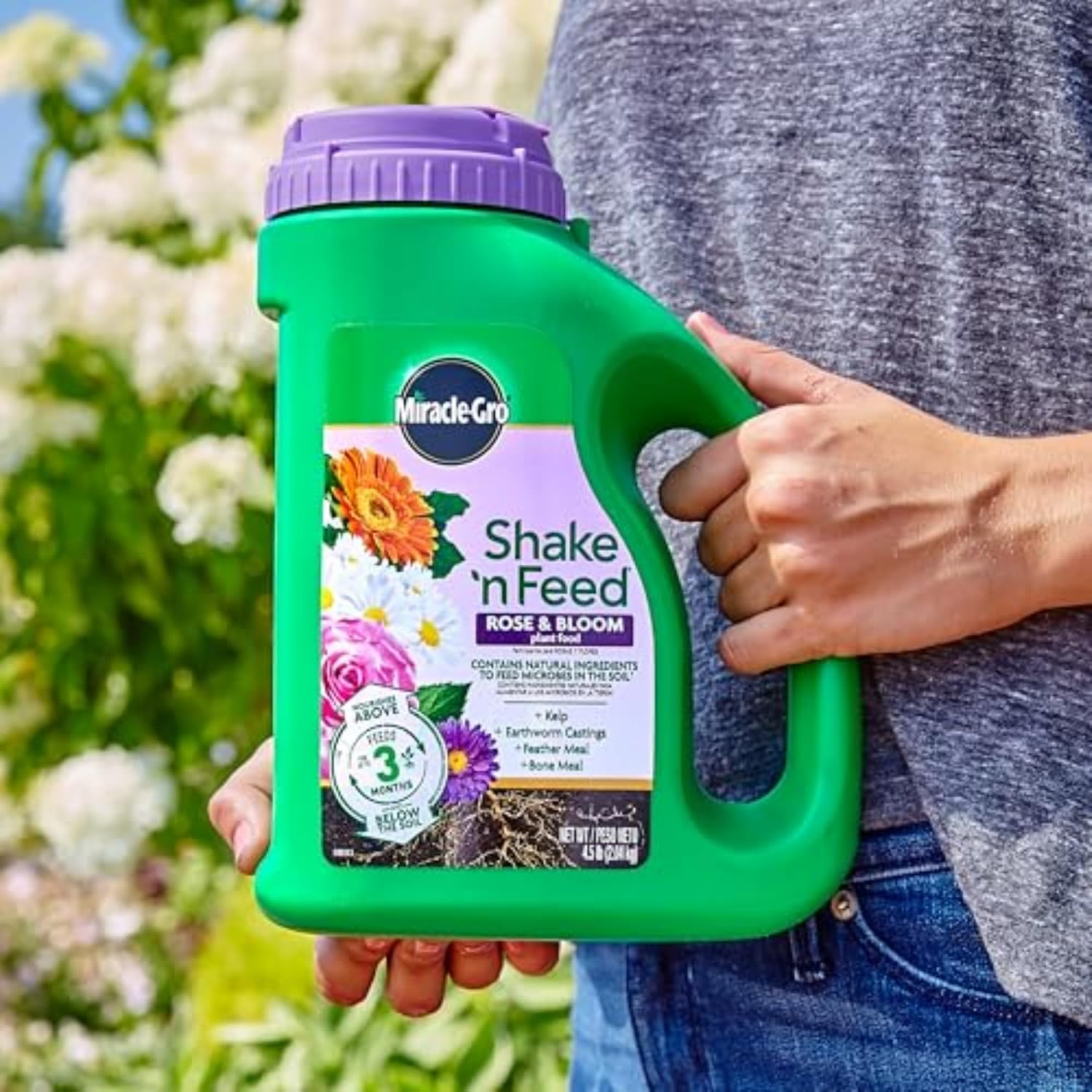 Miracle-Gro Shake 'n Feed Rose & Bloom Plant Food - Long-Lasting Granular Fertilizer for Flowers - 4.5 lbs