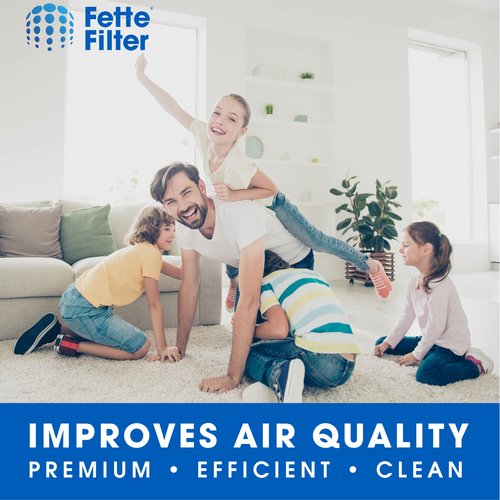 Fette Filter - 121 Replacement Filter Compatible with Blueair Blue Pure 121 Air Purifier with Particle and Activated Carbon - Pack of 1