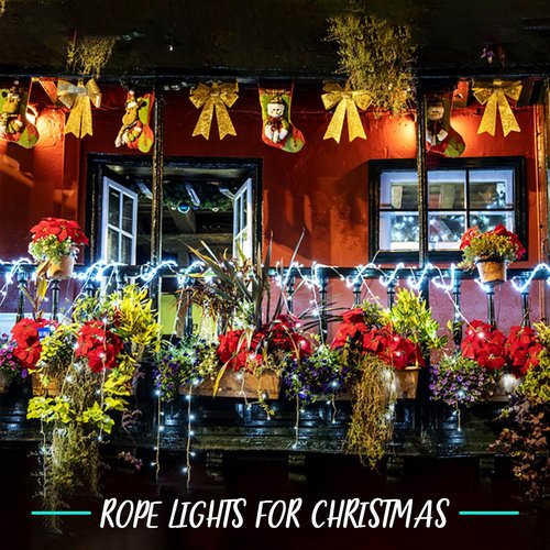 Krislait Rope Lights Outdoor, 98ft 600 LED Outdoor Plug in Rope Light, Waterproof String Lights for Garden, Tree, RV, Patio, Holiday Decor, Party, Christmas (Cool White)