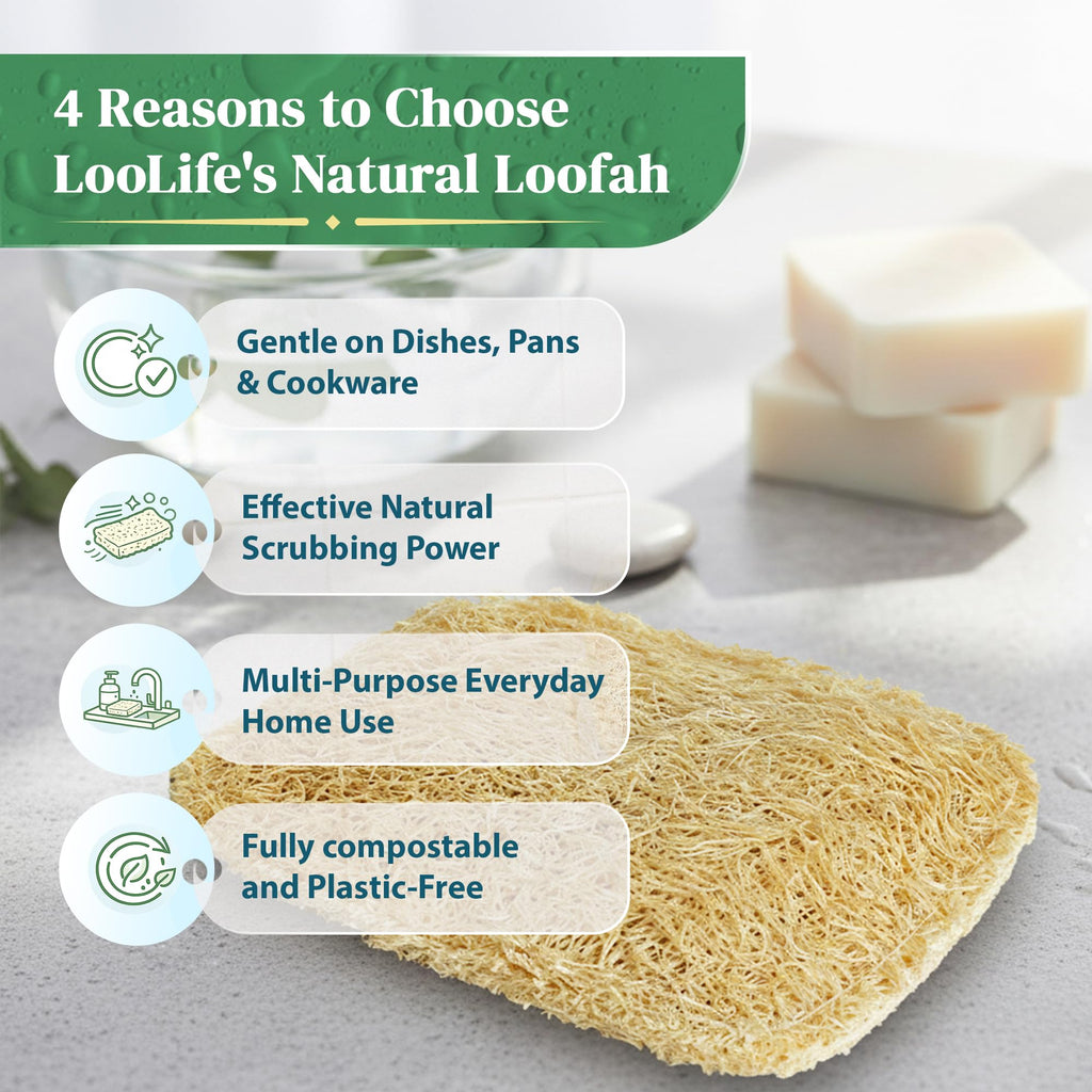 Natural Loofah Kitchen Sponge (3 Pack) - Natural Sponges for Dishes - Eco Friendly and Compostable Sponges - Biodegradable Plant Based Kitchen Dish Sponge - Plastic Free Dish Scrubber