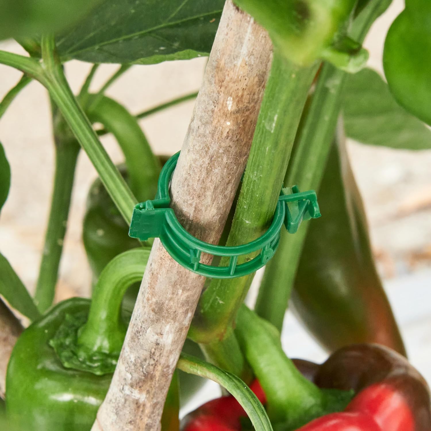 Skiennix Plant Support Clips - 100 Pcs Plastic Clips for Securing Tomato Vines | Green Garden Clips