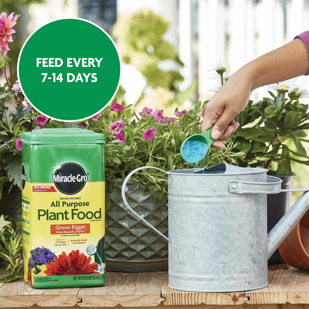 Miracle-Gro All-Purpose Plant Food - Water Soluble Fertilizer for Indoor & Outdoor Plants | 5.5 lbs