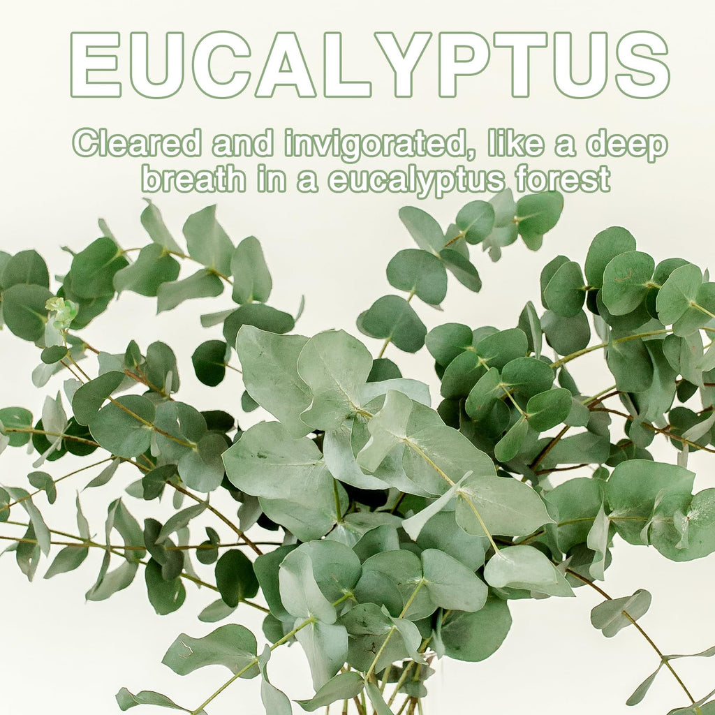 15 Packs Eucalyptus Scented Sachets Bag for Drawers and Closets, Home Fragrance Sachet, Long-Lasting Hanging Closet Deodorizer Smell Goods for House
