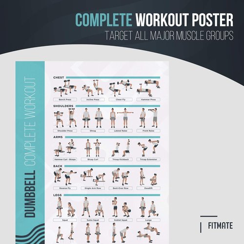 FitMate Dumbbell Workout Poster - Free Weights Exercise Routine Guide for Home Gym (16.5 x 25 Inch)