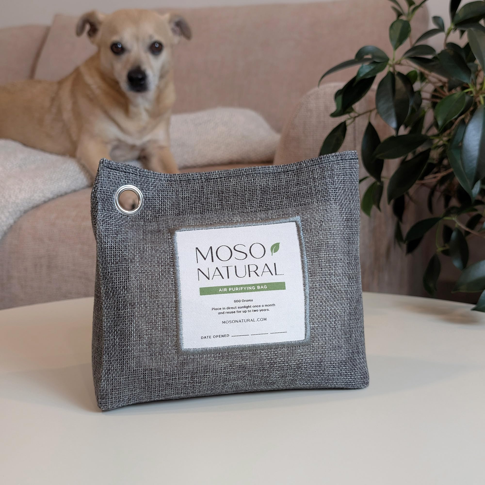 Moso Natural Air Purifying Bag 600g, Premium Bamboo Charcoal Odor Absorber, Room Deodorizer for Large Spaces, Bedroom, Kitchen, Basement, Pet Odor Eliminator for Home, 21oz Charcoal Bags