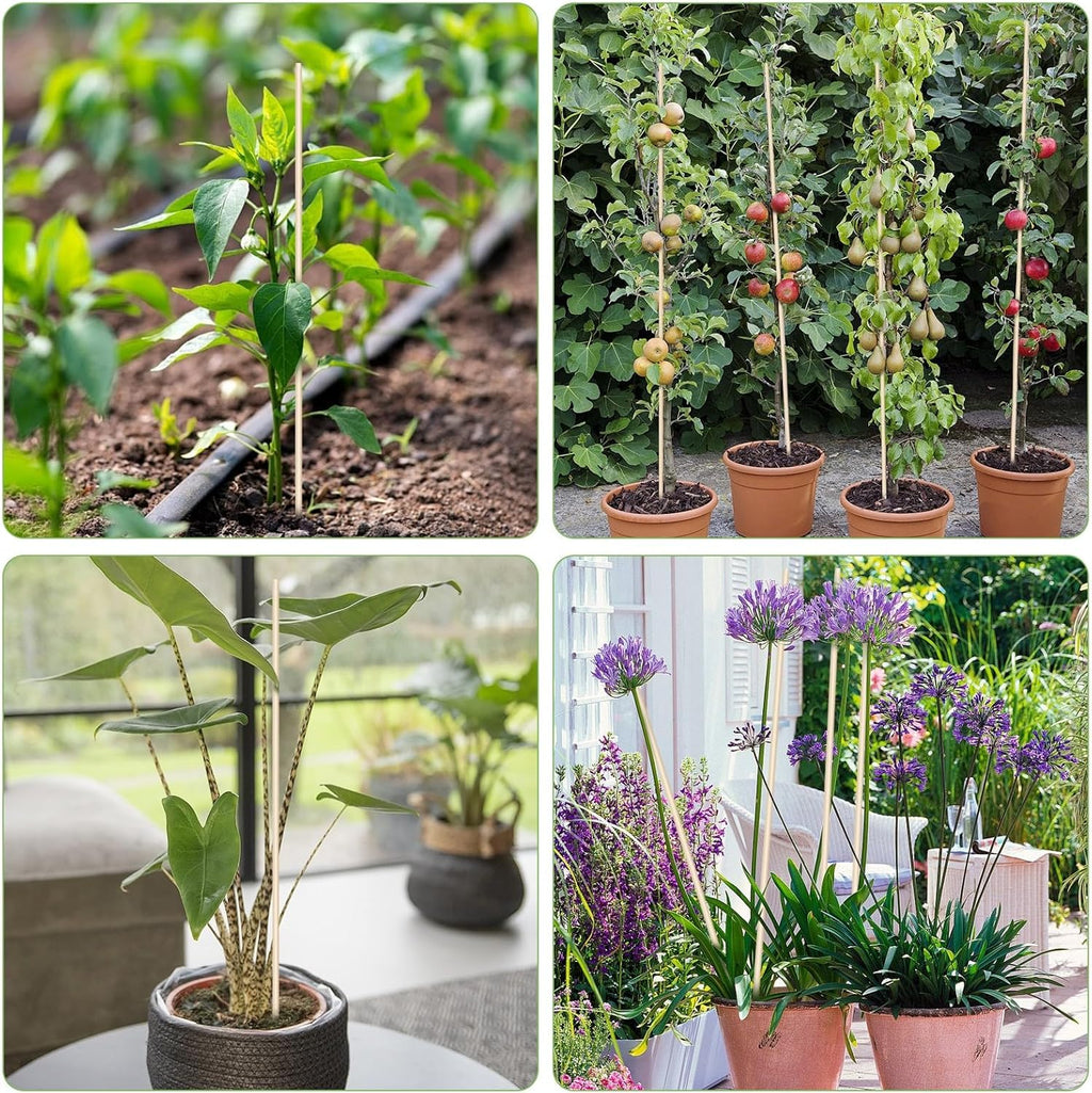 Bamboo Plant Stakes - 18 Inch Wooden Support for Gardening | 46 PCS with Wires for Indoor Plants