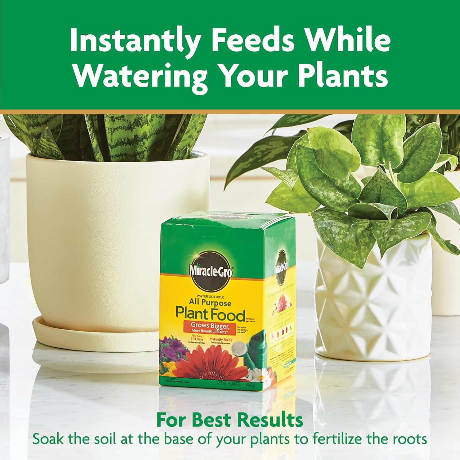 Miracle-Gro All-Purpose Plant Food - Water Soluble Fertilizer for Indoor & Outdoor Plants | 1.5 lbs (Pack of 6)