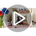 RABUSOFA 4th of July Dogs Pillow Cover 12x20 - Patriotic Decor