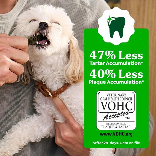 Greenies - Veterinarian-Recommended Natural Dental Dog Treats | Teenie Size, Original Flavor, 36 oz Pack
