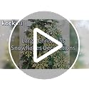 Gold Snowflake Ornaments Set - 12 Large Outdoor Indoor Christmas Decorations