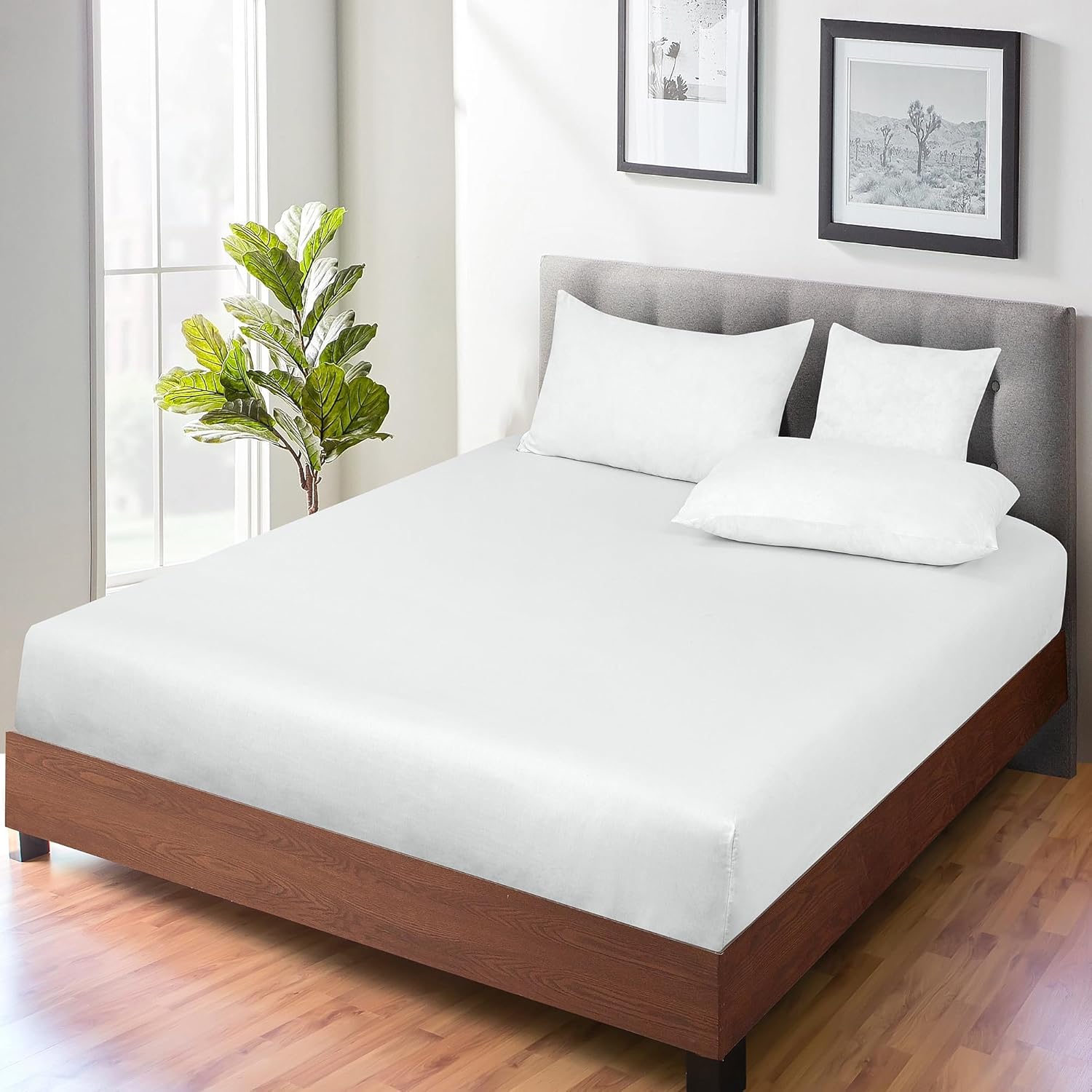 Royale Linens 300 Thread Count Fitted Sheet - Super Soft 100% Long Staple Cotton | Queen Size, White