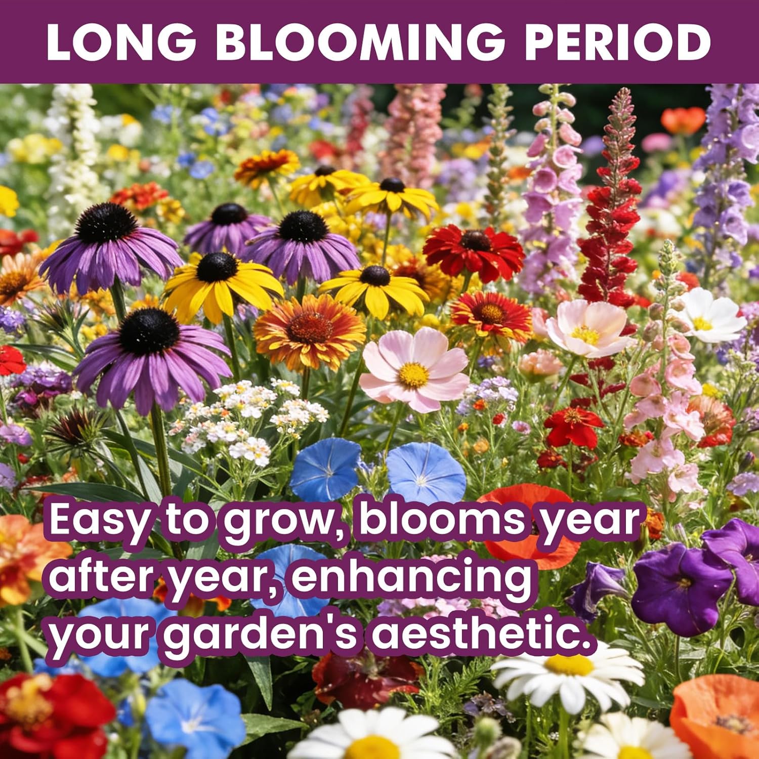 Wildflower Seeds - 10,000+ Bulk Butterfly & Hummingbird Mix | 21 Varieties of Heirloom Perennials & Annuals