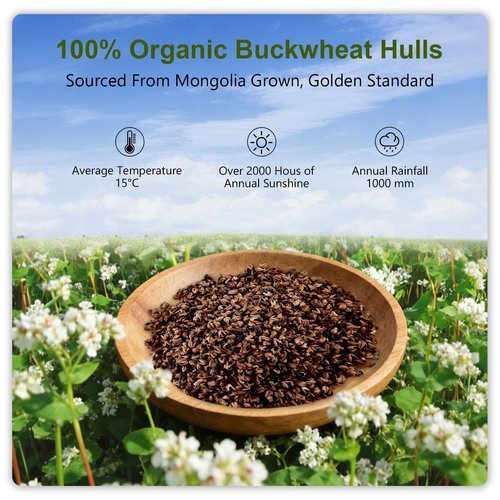 APOBUY 20x26 Large Organic Buckwheat Pillow with Dual-Layer Pillowcase and Extra Tartary Buckwheat Hulls, Adjust Height and Firmness, Neck Support Pillow for Back and Side Sleepers