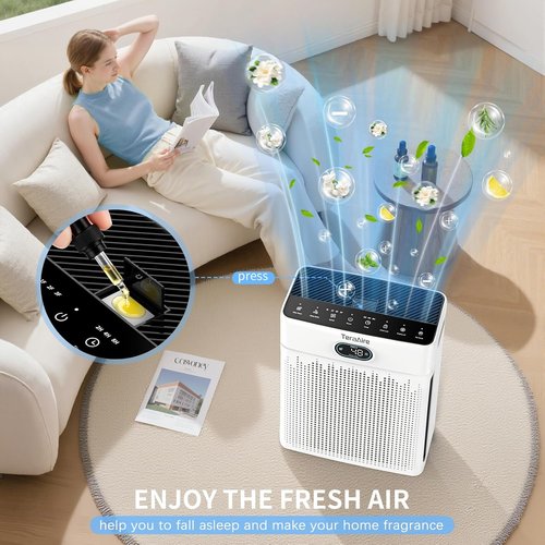 Air Purifiers | HEPA Air Purifier with Pet Mode & Timer for Up to 2200 Ft² - Black