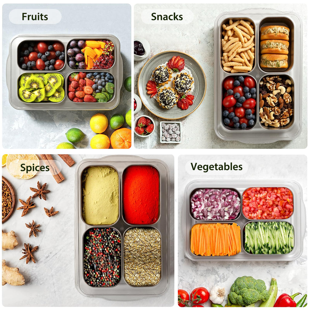 Freshmage Snackle Box Container, Stainless Steel Divided Serving Snack Tray with Lid and Handle, 4 Compartment Portable Snack Platters for Road Trip, Beach, Picnic, Ball Games, Pool and Parties