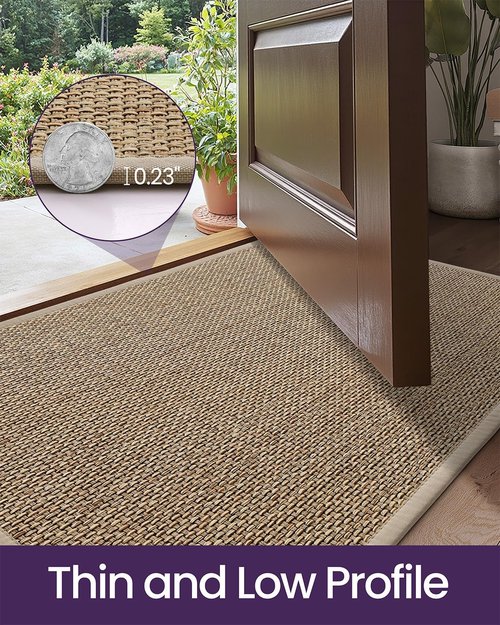 DEXI Ultra Thin Indoor Door Mat - Non-Slip Rubber Backing | Easy-Clean Dirt Trapper, 24x36, Beige