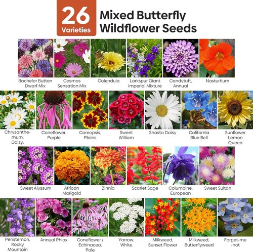Groundio Wildflower Seeds - 26 Variety Mix for Pollinators | 1/4 lb Bulk, Plant in Spring or Fall