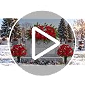 Artificial Cemetery Saddle Flowers Poinsettia - Red & White for Grave Decorations
