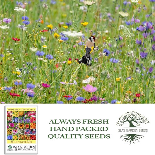 Isla’s Garden Seeds Wildflower Mix - 500+ Non-GMO Heirloom Seeds for Colorful Pollinator Blooms | Perfect for Garden Beds & Meadows