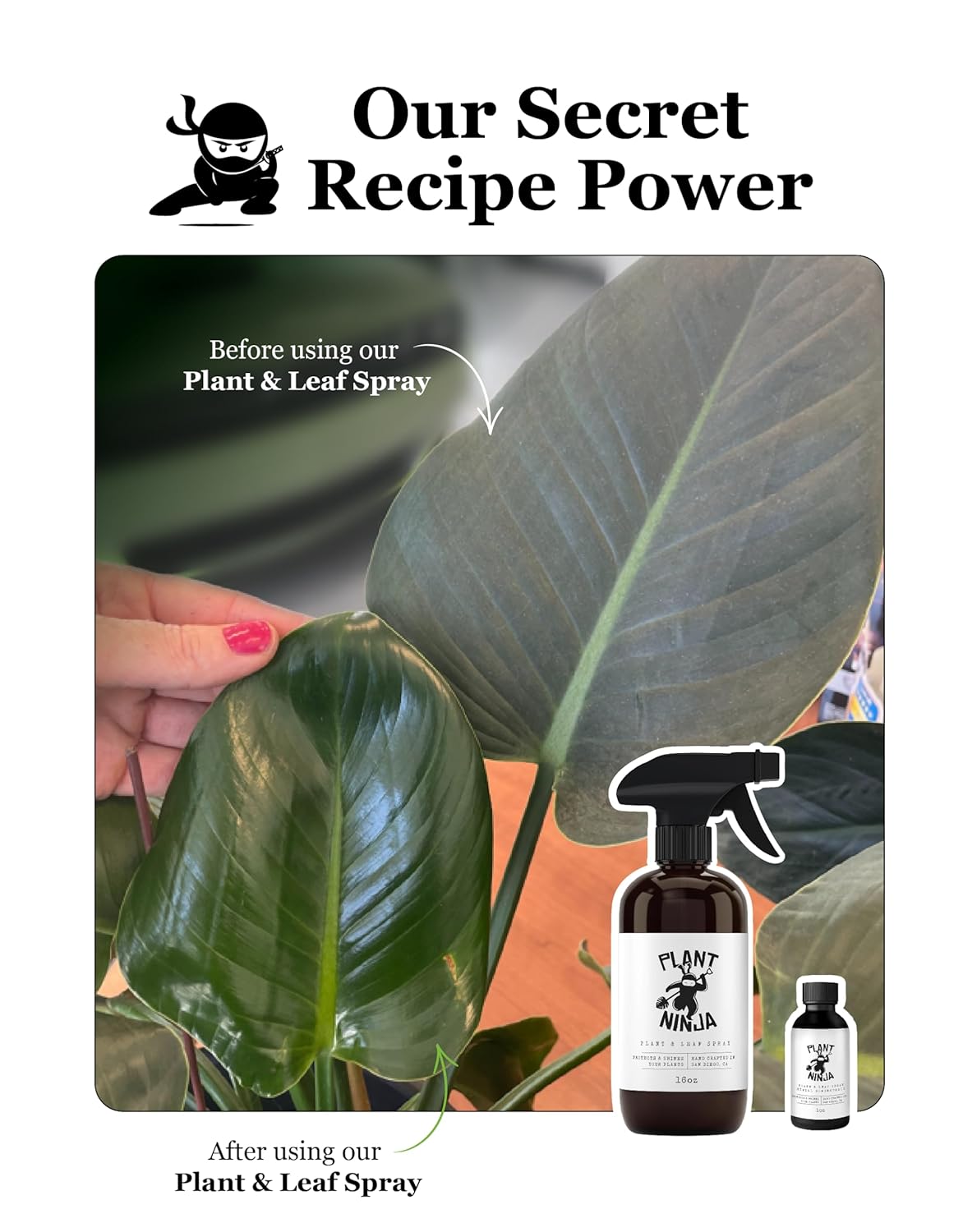 Plant & Leaf Spray - Non-Toxic Leaf Shine & Protector | Eco-Friendly Formula for Indoor Plants | Handcrafted & Women-Owned