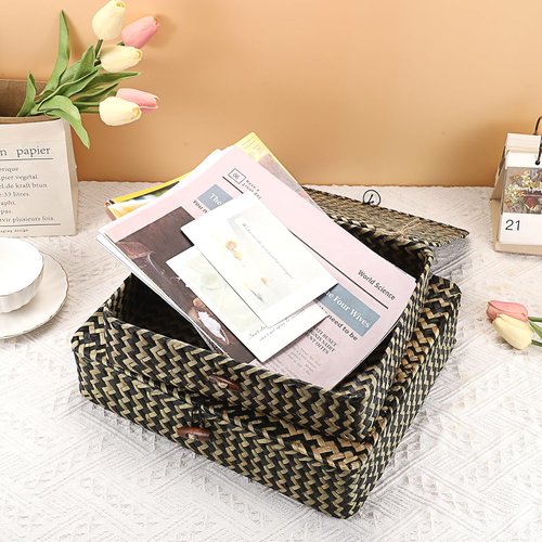 Hipiwe Woven Storage Basket Set - Natural Seagrass Bins with Lids for Home Decor | 2-Pack with Black Stripes