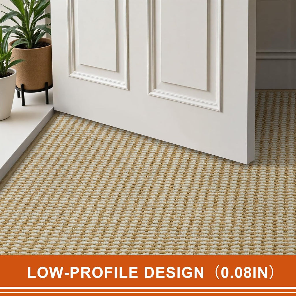 Regine Switzerland Dirt Trapper Door Mat - Non-Slip, Absorbent, Washable | 20" x 32", Beige White