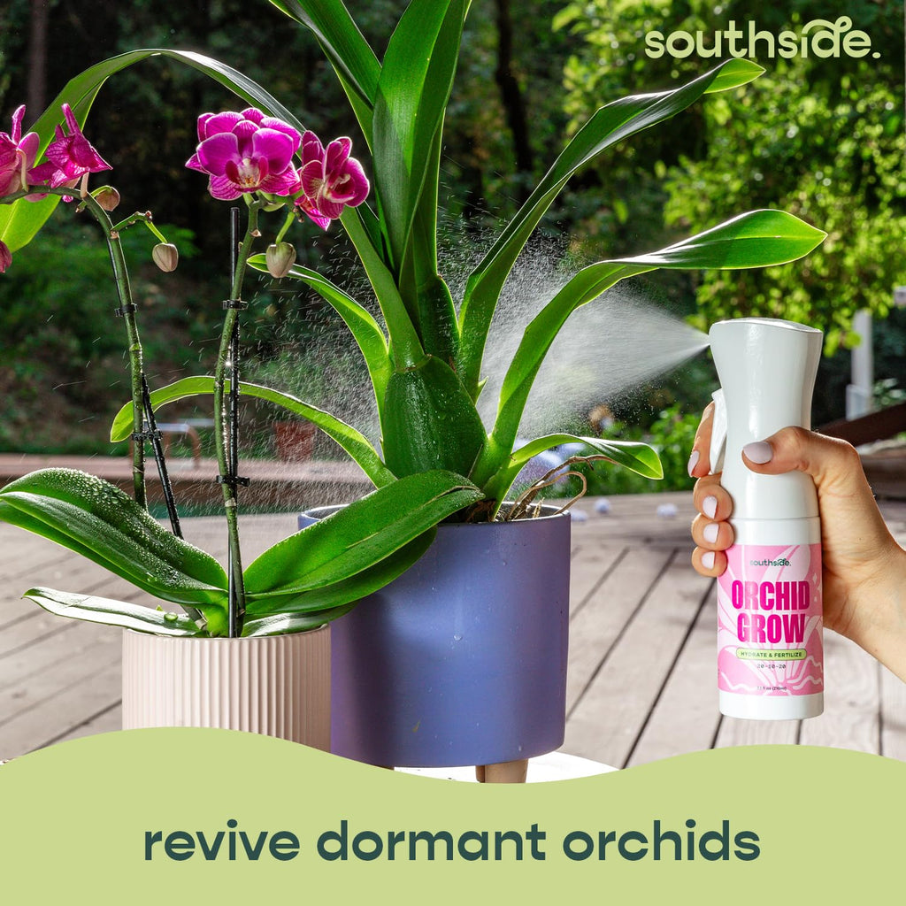 Southside Orchid Grow Fertilizer - 7.1 Oz | Revive Dormant Orchids with Gentle Continuous Spray