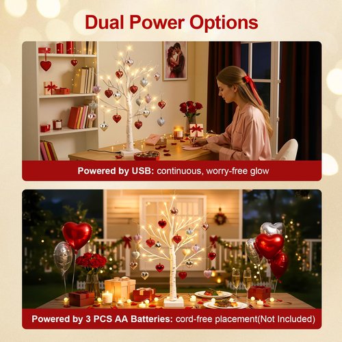 OLANRUN Valentines Day Decorations - 2 FT Birch Tree with 24 LED Warm Light 18 Heart Ornaments Set - Valentines Day Tree Decor for Home Office Bedroom Table Mantel Decor, USB or Battery Powered, White