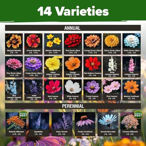 HOME GROWN Premium Monarch Butterfly Wildflower Seeds Mix - 20,000+ Non-GMO Milkweed Seeds for Pollinator Gardens | 2oz Perennial Flower Seeds