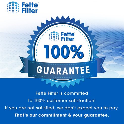 Fette Filter - 121 Replacement Filter Compatible with Blueair Blue Pure 121 Air Purifier with Particle and Activated Carbon - Pack of 1