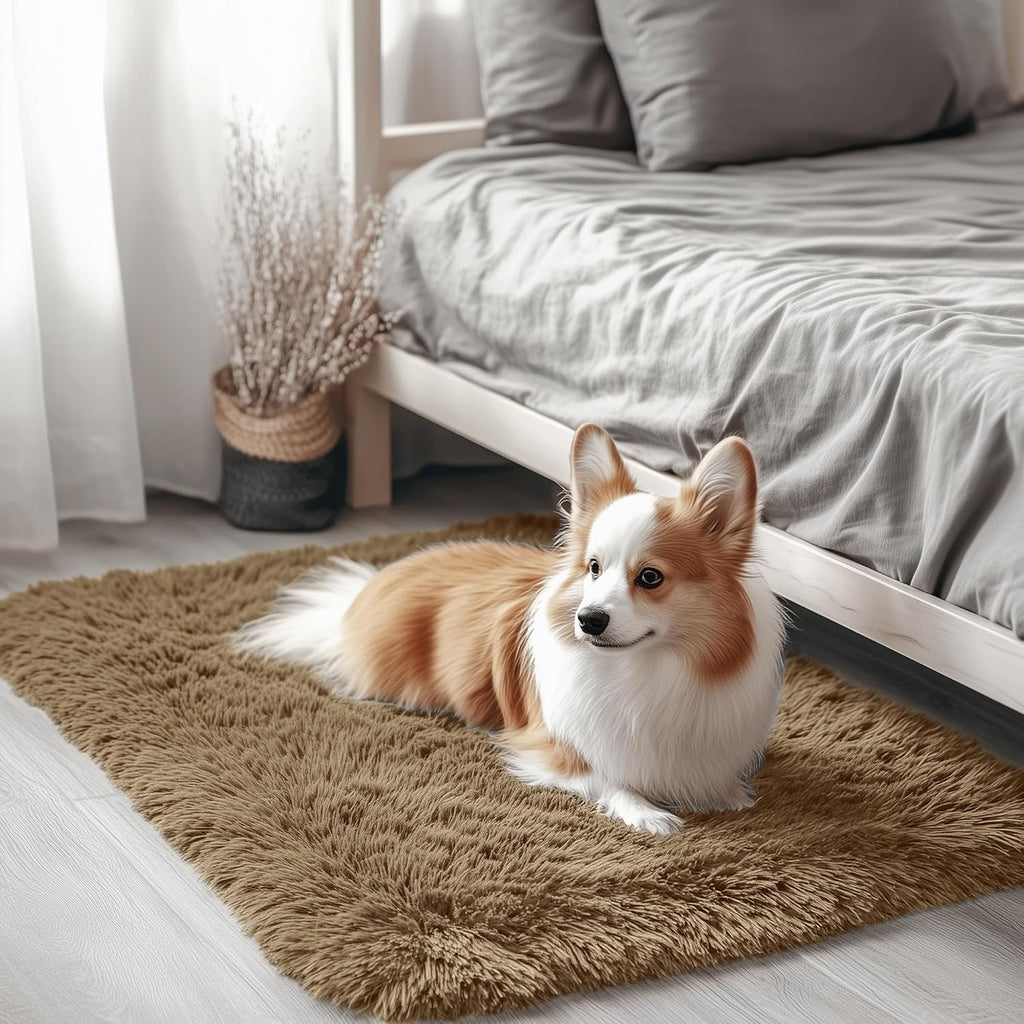 OLANLY Small Bedside Rug - Soft Fluffy Shaggy Indoor Carpet for Bedroom & Living Room | Taupe
