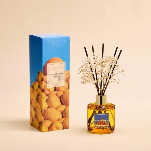 COCORRÍNA Reed Diffuser - Morton Pumpkin Harvest Set with 8 Sticks & Preserved Baby's Breath | Home Decor
