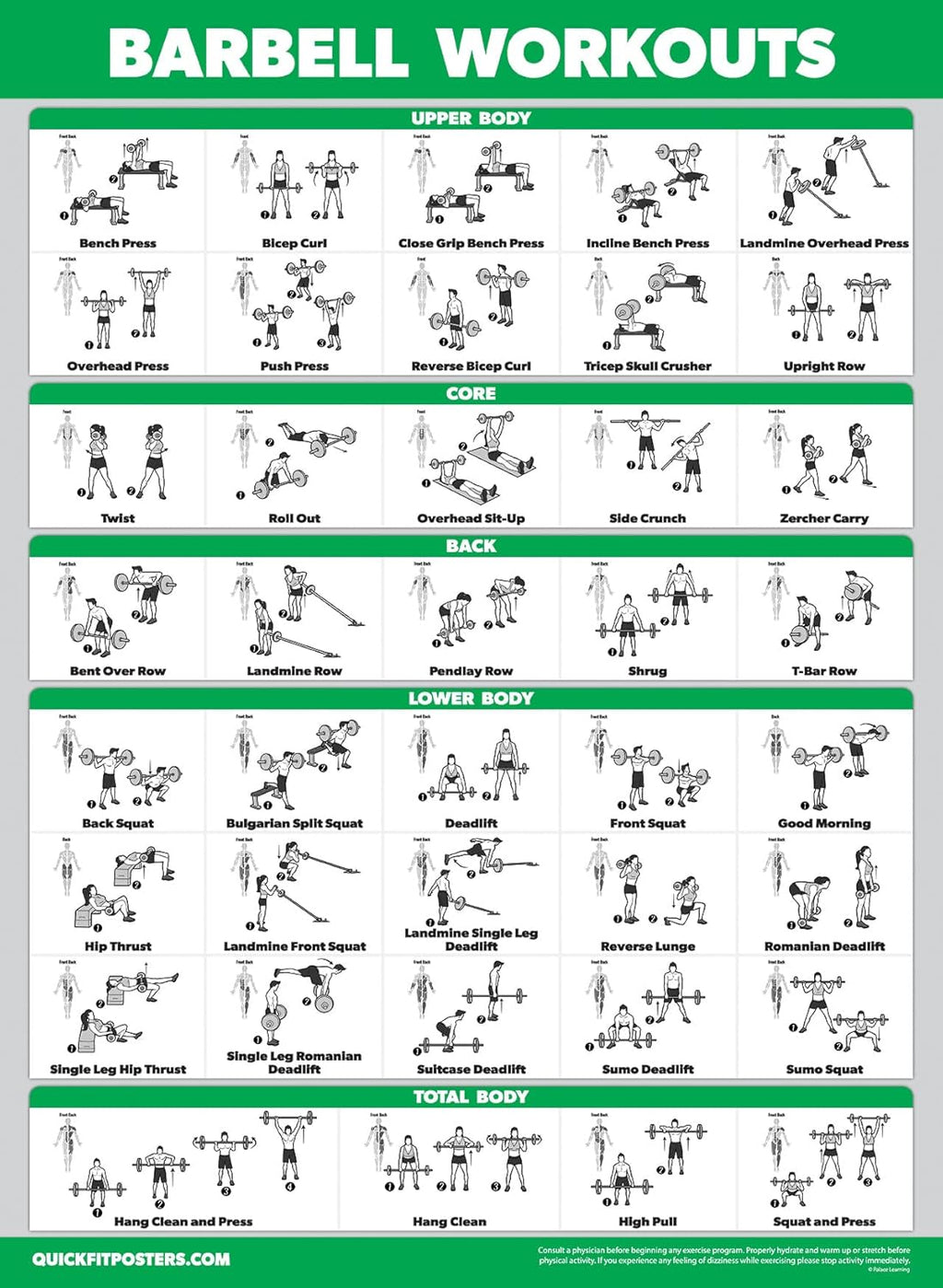 Palace Learning Dumbbell & Barbell Workout Charts - Set of 4 Laminated Muscle Guides (18" x 24")