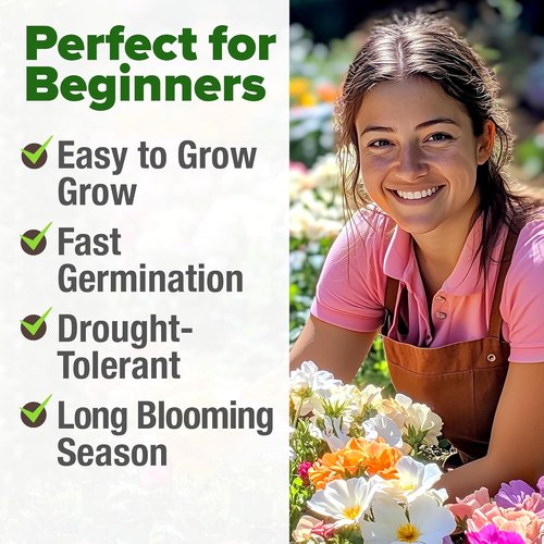 Home Grown Moss Rose Seeds - 23,500+ Heirloom Portulaca Seeds for Low-Maintenance Gardens | Annual Flower Ground Cover